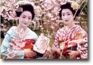 舞妓変身 記念撮影の様子